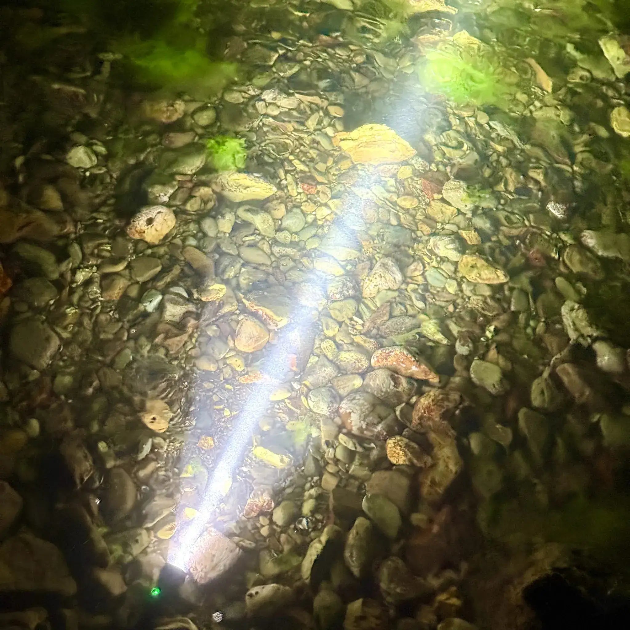 Starker Unterwasser-Tauchlampenstrahl beleuchtet Kies und Steine am Grund