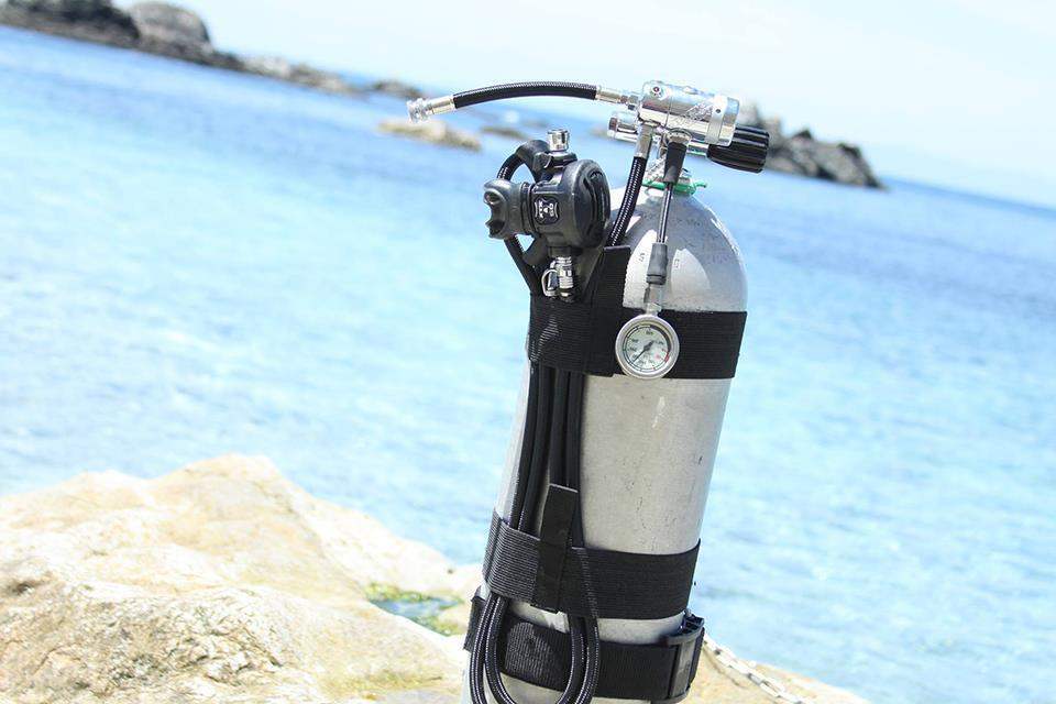 D-luxe Tankstrap für Aluflasche 7l von D-luxe - Jetzt kaufen