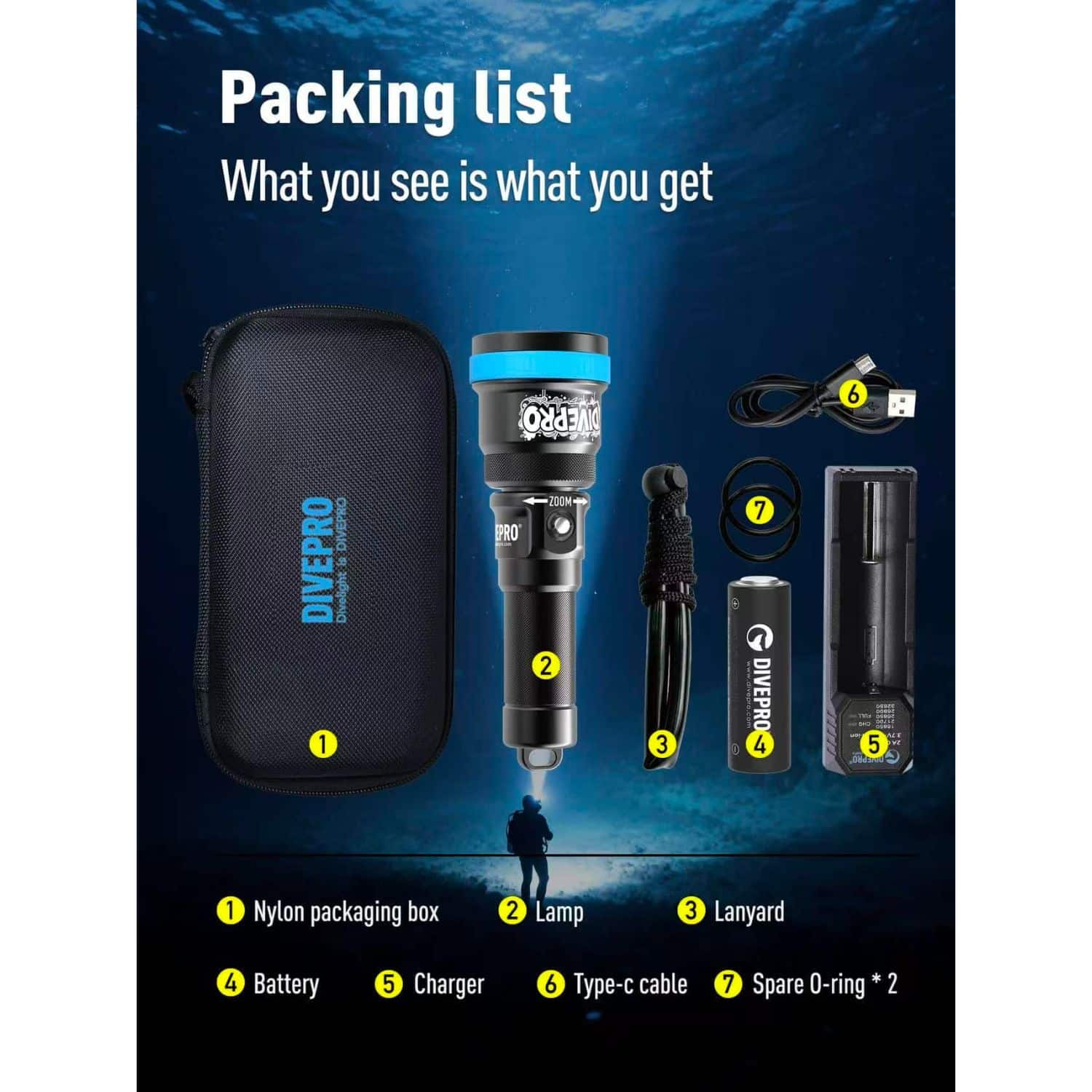 Tauchlampe DIVEPRO SZ3000