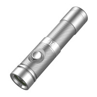Tauchlampe DIVEPRO S10 silber