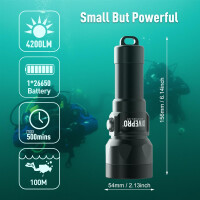 Tauchlampe DIVEPRO S40