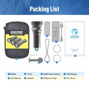 Videoleuchte DIVEPRO D40F